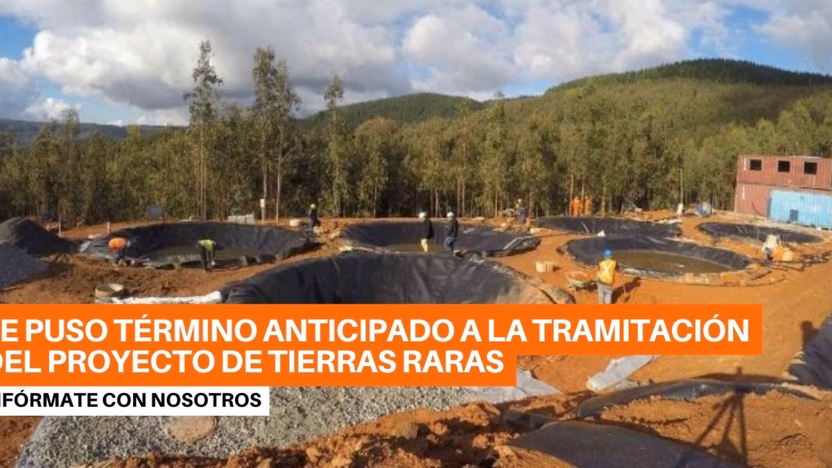 Tierras Raras en Penco: seis árboles que no vio la empresa frustran inversión de US$ 130 millones