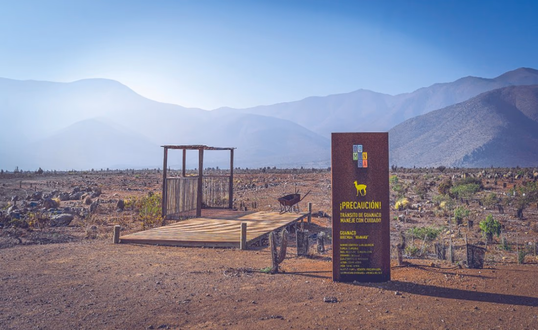 Tras diez años de tramitación, minera Dominga se juega su destino en los próximos días