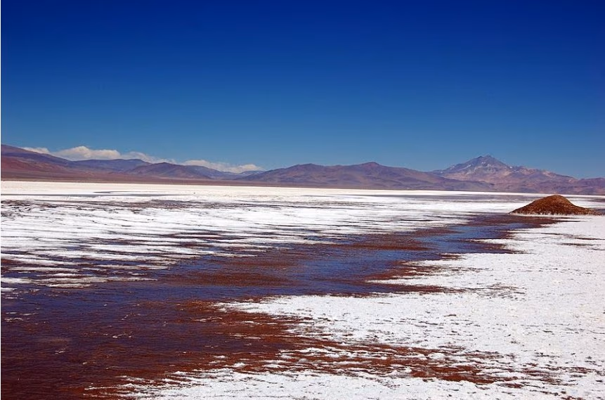 Tres actores para un salar: la carrera por extraer litio de Maricunga
