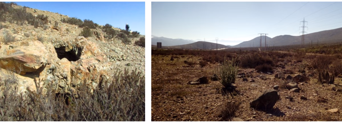 Tribeca Resources confirma descubrimiento de sistema mineralizado de cobre y oro de 1 km de largo en Chile