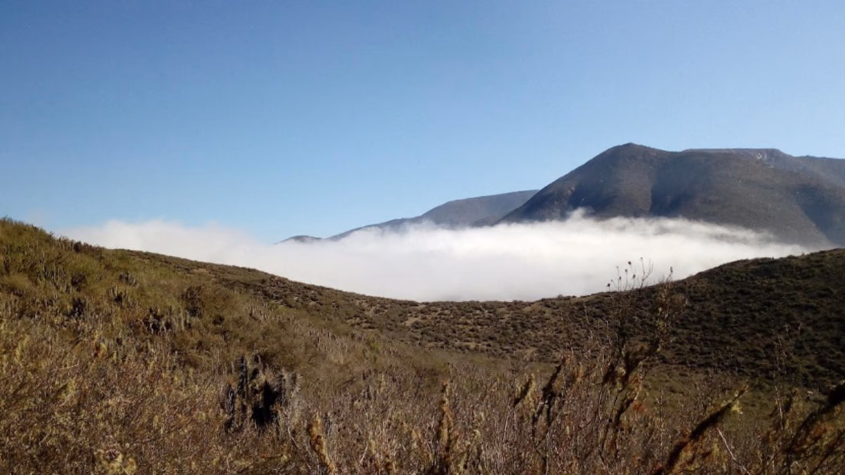 Tribeca Resources extiende la anomalía IP al norte del descubrimiento Gaby en el proyecto La Higuera IOCG