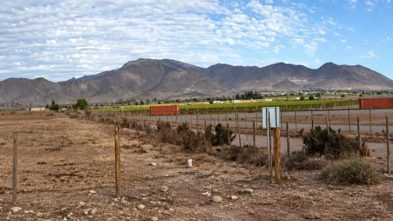 Tribunal Ambiental anula rechazo del proyecto minero San Cayetano y ordena nueva etapa de evaluación