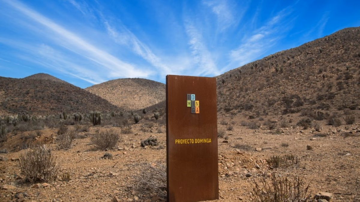 Tribunal Ambiental de Antofagasta anula decisión contra proyecto Dominga