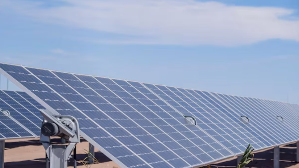 Tribunal Ambiental falla a favor del proyecto fotovoltaico La Greda en disputa con agrupación ciudadana