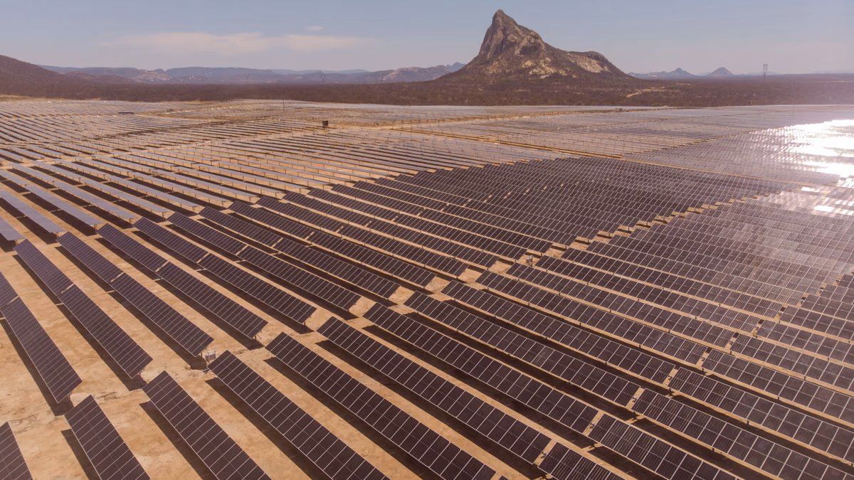 TrinaTracker consolida su liderazgo en Argentina y proyecta superar 1,2 GW de capacidad instalada en 2025