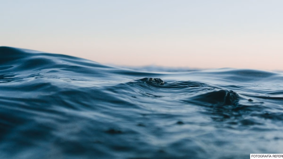 Un estudio muestra que la extracción de cobalto y níquel del fondo marino reduce drásticamente el impacto ambiental de los metales de las baterías