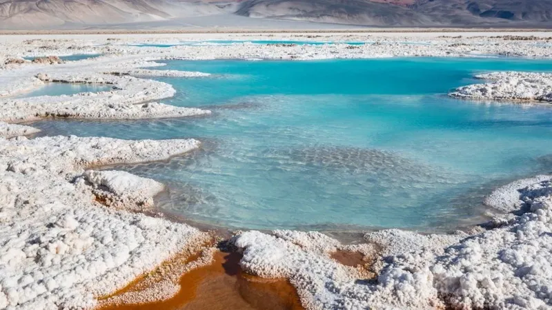 Universidad de Atacama lidera innovador proyecto de extracción selectiva de litio