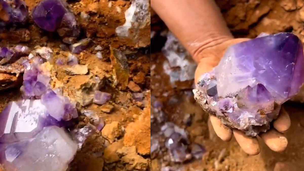 VIDEO: Increíble registro muestra hallazgo de cristales amatista por Mineros en África