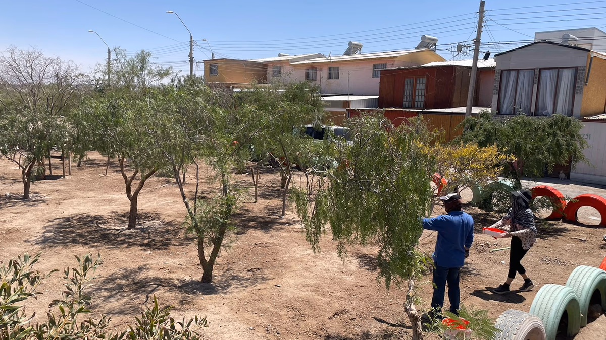 Voluntarios de Chuquicamata mejoran el parque de la Villa Nueva Oasis Norte de Calama