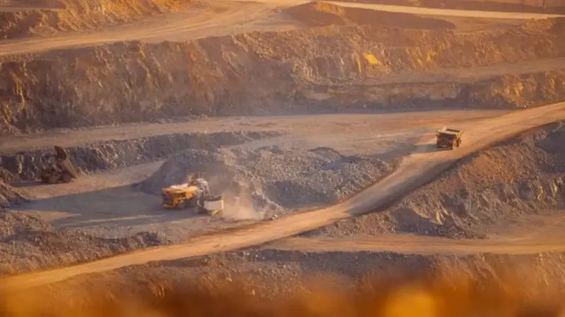 Wealth Minerals adquiere proyecto aurífero Andacollo Oro en Chile: detalles