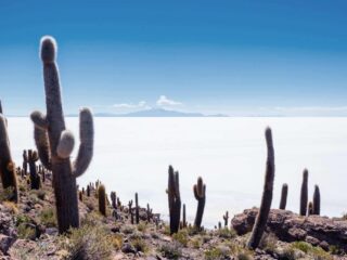 Lithium Chile actualiza el programa de perforación Turi y los programas de exploración en marcha a pesar de las protestas chilenas