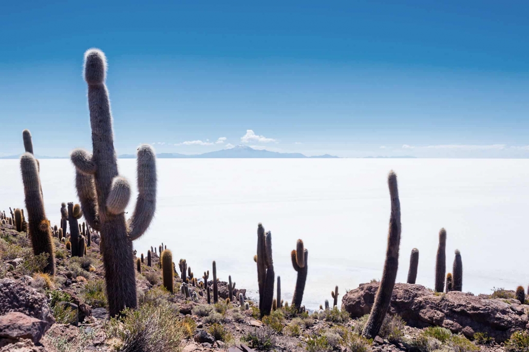 Lithium Chile actualiza el programa de perforación Turi y los programas de exploración en marcha a pesar de las protestas chilenas