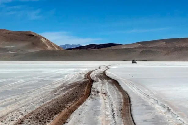 Litio: la Argentina es el cuarto productor mundial de este “oro blanco”