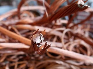 Cobre cierra plano tras tocar máximo en una semana tras recorte tasas China