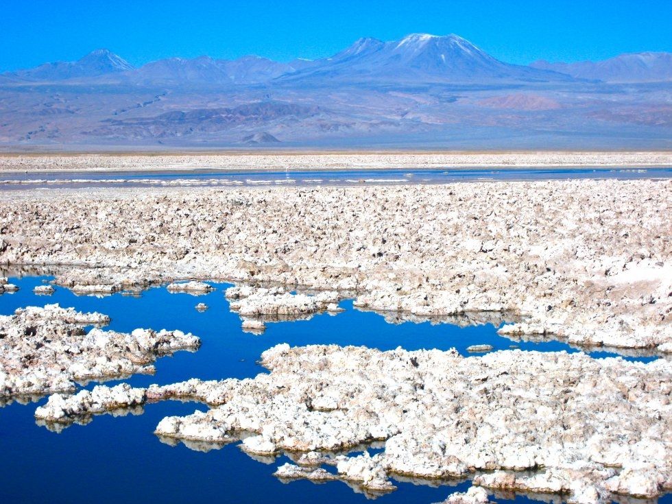 Grandes fabricantes de autos eléctricos presionan para que extracción de litio del Salar de Atacama sea sustentable