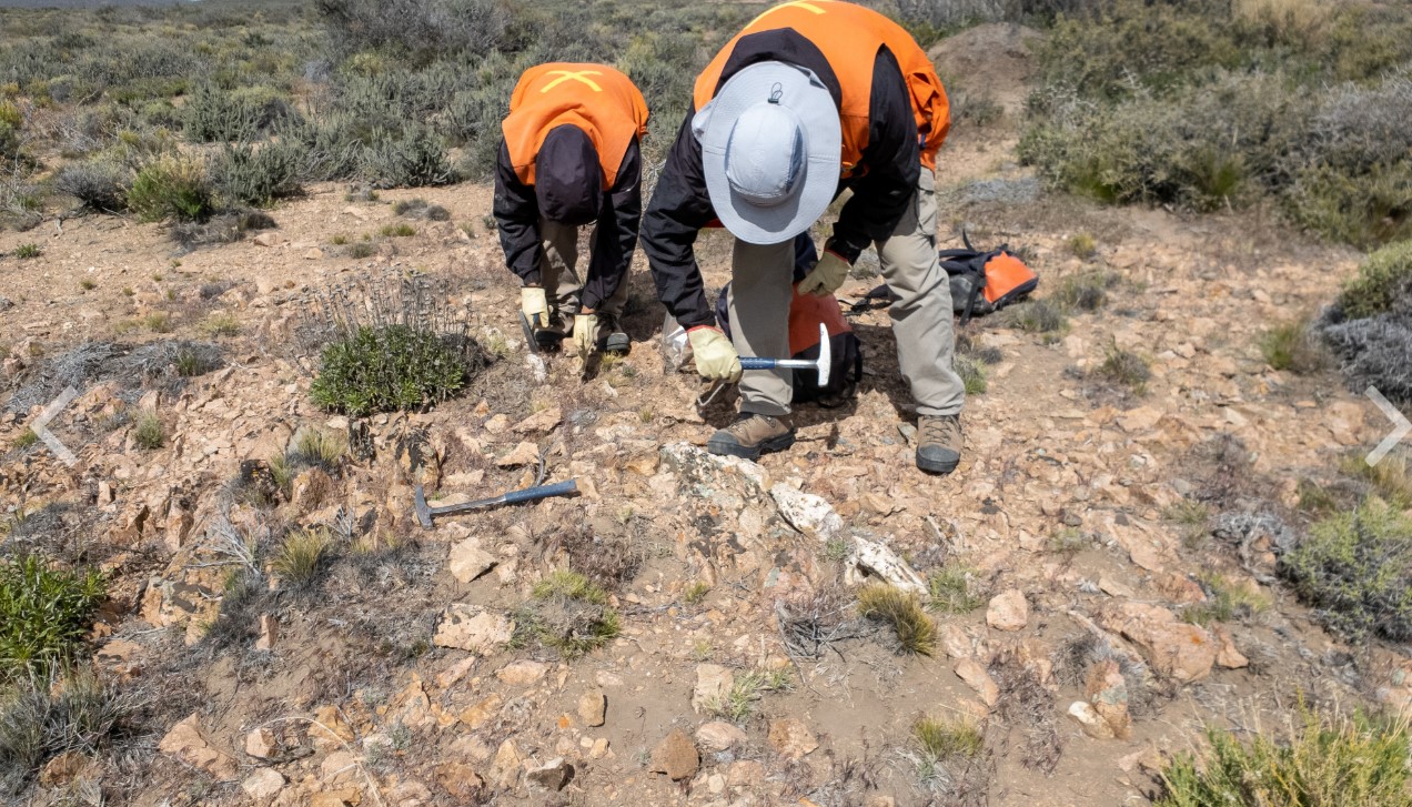 (Argentina) Golden Arrow Resources muestra venas que contienen oro visible en el proyecto de oro Flecha de Oro