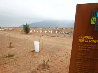 Tribunal Ambiental de Antofagasta solicita informes técnicos al gobierno por proyecto Dominga
