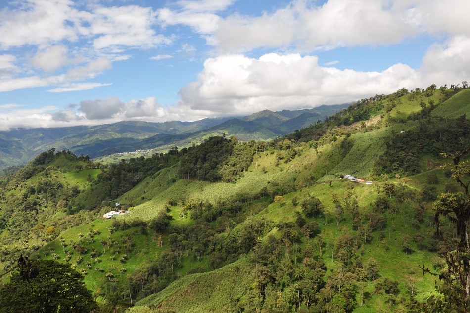 Atico intercepta zonas adicionales de alto grado que incluyen 32.9g / t Au, 237g / t Ag, 16.25% Cu y 2.16% Zn por encima de 1.31 metros en el Proyecto VMS La Plata, Ecuador