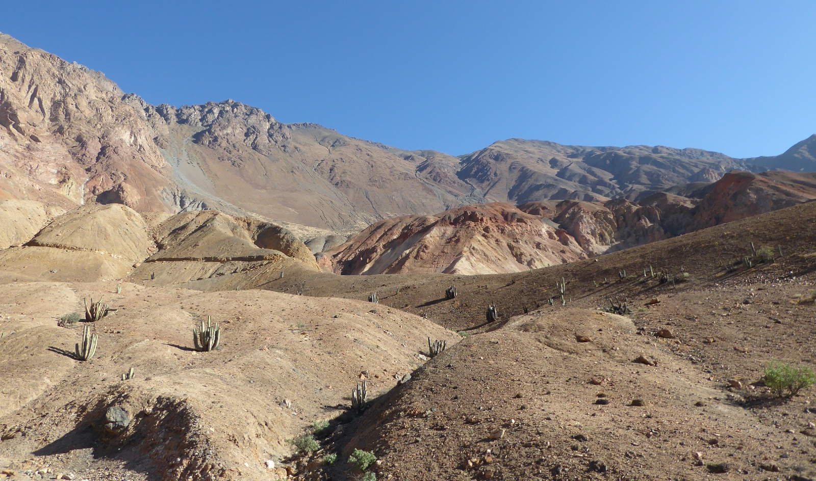 (Perú) Los recursos del elemento 29 proporcionan actualización para el proyecto de cobre Elida