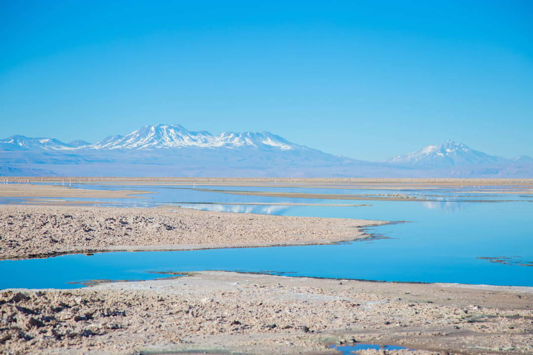 Albemarle acusa a Chile de discriminación por negar acceso a estudio sobre salar