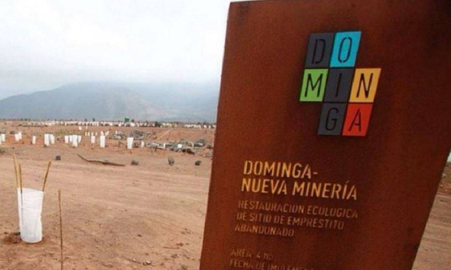 Tribunal Ambiental acoge reclamación a favor de proyecto minero Dominga