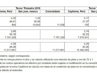 Argentina: Norseman Silver y sus Nuevos objetivos mineralizados descubiertos en el Proyecto Taquetren