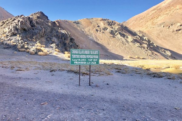 Minera Norte Abierto respetará fallo de Tribunal Ambiental para volver evaluar campaña de prospección