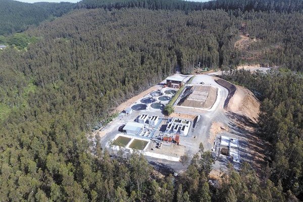 «Tierras raras»: Qué son, para qué se utilizan y el potencial de Chile para abrirse un espacio en este mercado