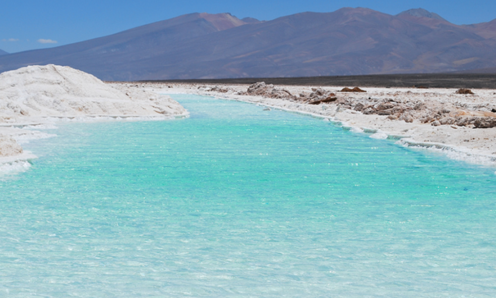 Bearing Lithium: Minera Salar Blanco, acuerda alianza estratégica con Mitsui para el desarrollo de Maricunga y desarrollos futuros en Chile