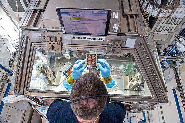 Copper3D se adjudica fondo de la NASA para estudiar materiales antimicrobianos en el espacio