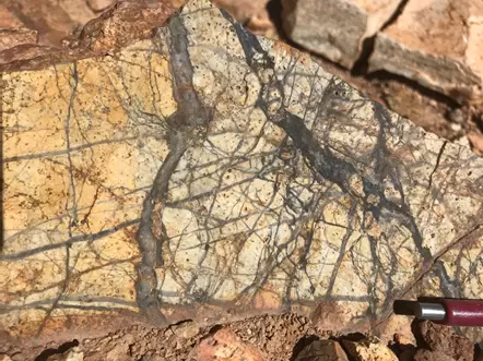 Pampa Metals identifica una intensa veta de cuarzo relacionada con pórfidos en la superficie de su proyecto del bloque 4 después de completar un reconocimiento geológico y geofísico