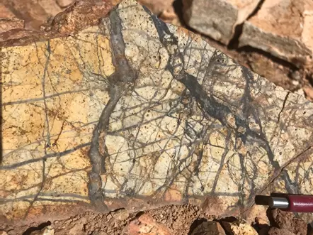 Pampa Metals identifica una intensa veta de cuarzo relacionada con pórfidos en la superficie de su proyecto del bloque 4 después de completar un reconocimiento geológico y geofísico Pampa Metals identifica una intensa veta de cuarzo relacionada con pórfidos en la superficie de su proyecto del bloque 4 después de completar un reconocimiento geológico y geofísico