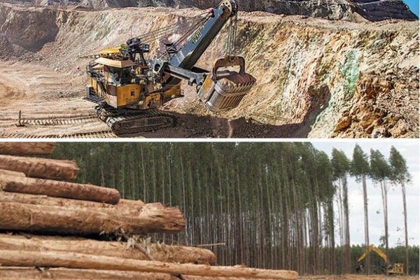 Gremios de la minería y las forestales arremeten contra norma que caduca las concesiones en tierras indígenas