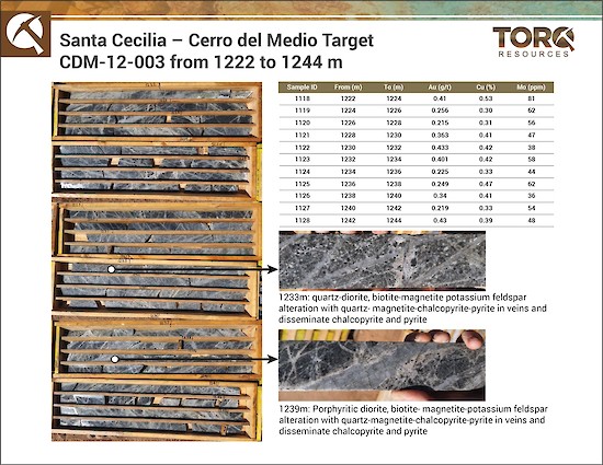 Torq Resources Inc. proporciona información actualizada sobre el proyecto de oro y cobre Santa Cecilia