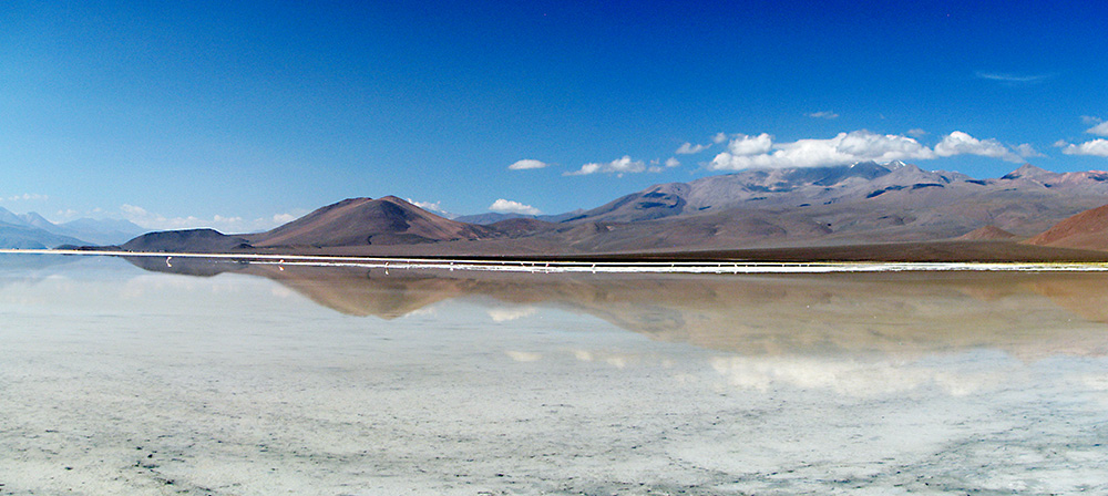 Corte de Antofagasta acoge recurso de comunidad quechua y ordena a empresa minera paralizar explotación en salar de Ascotán