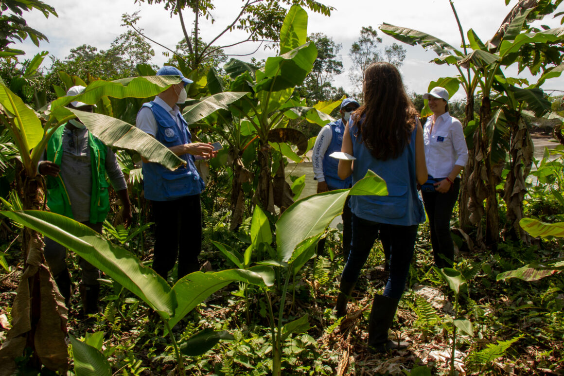20 familias y cerca de 400 mineros del Chocó trabajarán por el desarrollo sostenible de la región 20 familias y cerca de 400 mineros del Chocó trabajarán por el desarrollo sostenible de la región