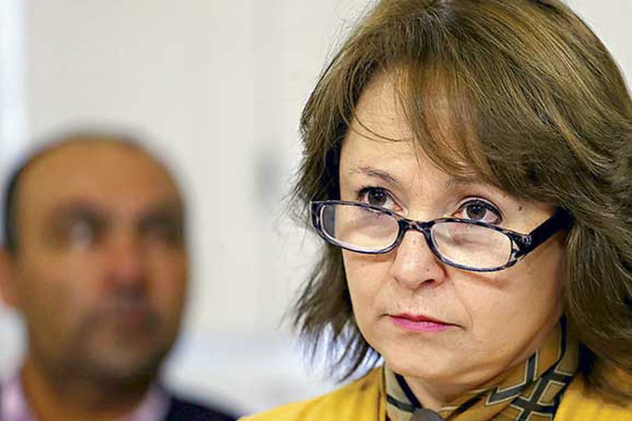 CODELCO y ENAMI para llevar las operaciones de Empresa Nacional del Litio, señala Hernando