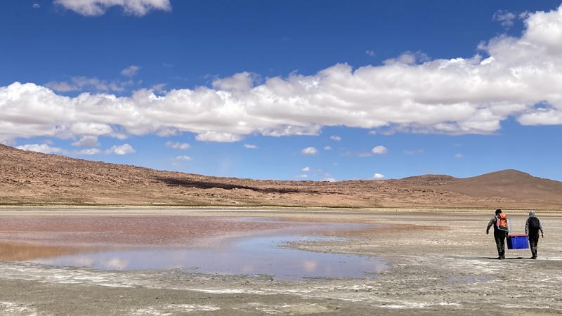 TECK establece un objetivo positivo para la naturaleza