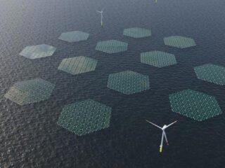 En el Mar del Norte se desarrollarán paneles solares flotantes que se deslizan sobre las olas "como una alfombra"