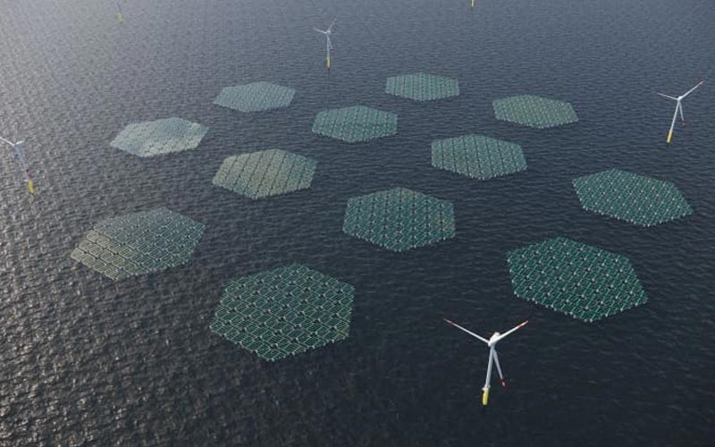 En el Mar del Norte se desarrollarán paneles solares flotantes que se deslizan sobre las olas "como una alfombra"