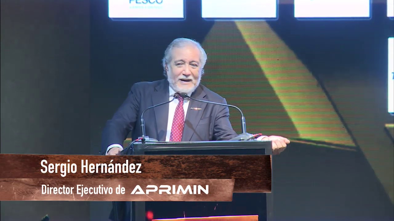 Sergio Hernández: "si el Estado es dueño inalienable de las sustancias metálicas y no metálicas ¿Cómo se va a vender el mineral?"