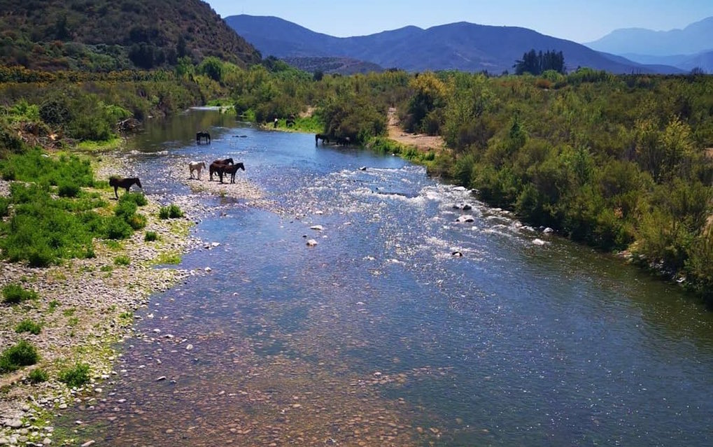 Gobierno confirma investigación contra Anglo American por posible extracción ilegal de agua en Río Aconcagua