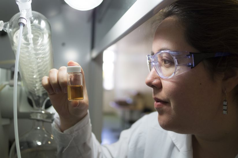 Científicos chilenos crean producto natural para eliminar la neblina ácida en la minería