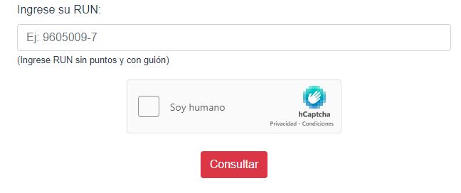 Cómo será el voto del Plebiscito 2022