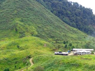 Lumina Gold hace crecer proyecto Cangrejos en Ecuador