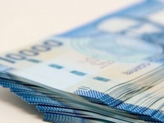 Ya Disponible: Todos los bonos del IPS, Revisa solo con tu RUT