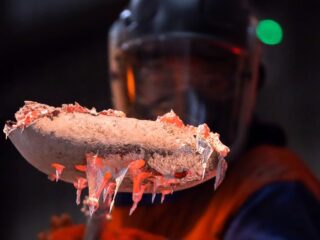 Las plantas metalúrgicas que alimentan las fábricas de Europa se enfrentan a una crisis existencial