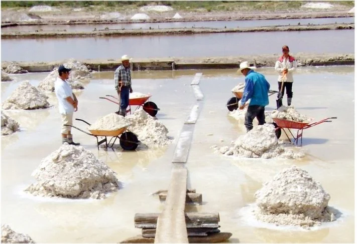 Bajo control de China, mercado del litio en América Latina