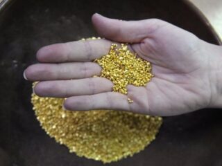 Cochilco apunta que producción del oro en Chile subirá un 28% en 2024