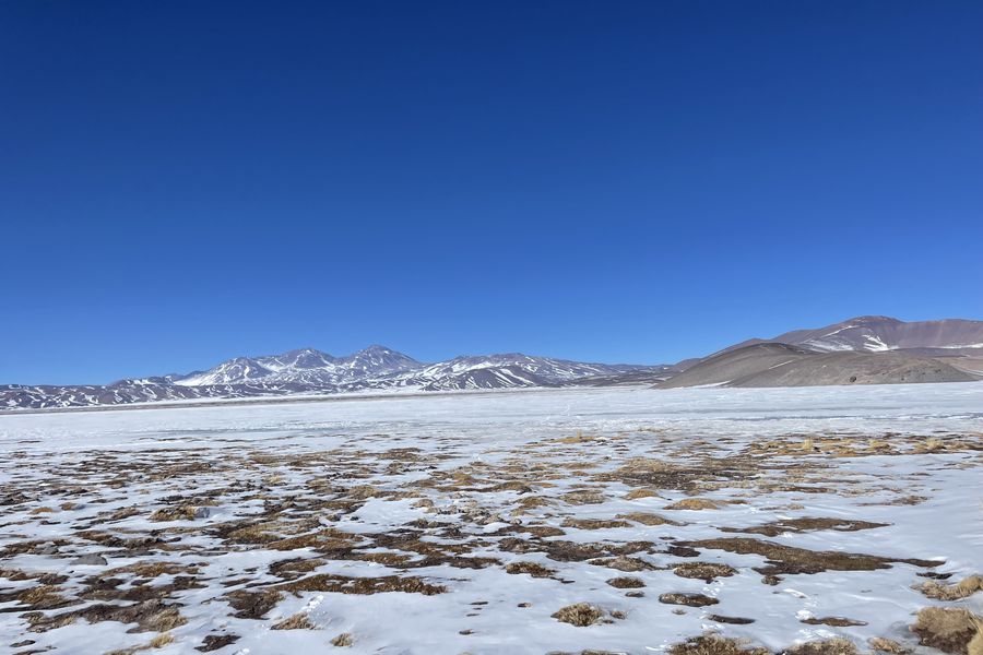 El lobby de Tsingshan, el gigante chino que busca instalar el primer parque industrial del litio en Chile